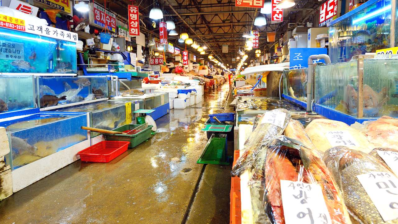 A wet market filled with various fish and seafood sold on tables and in glass tanks