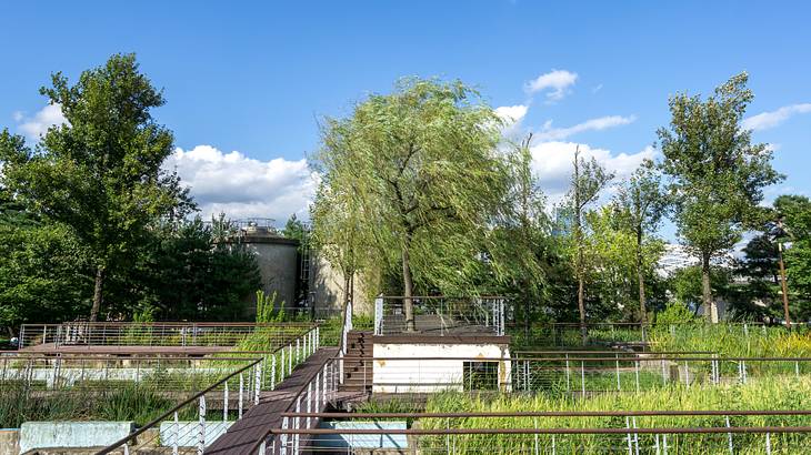 An aquatic botanical garden surrounded by greenery and blue sky