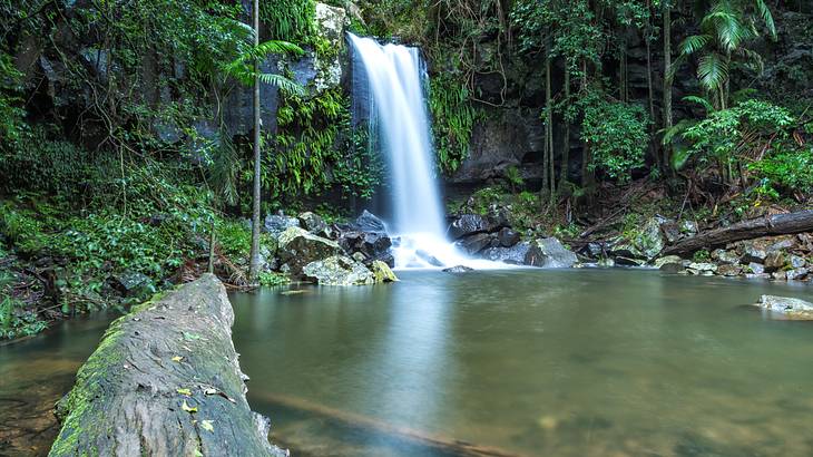 A small waterfall among lush greenery falling off a rock ledge into a pool