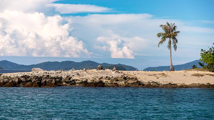 A rocky sand bar with one lone tall palm tree, Palawan, Philippines