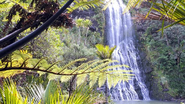 Waterfall, Karekare Falls, New Zealand