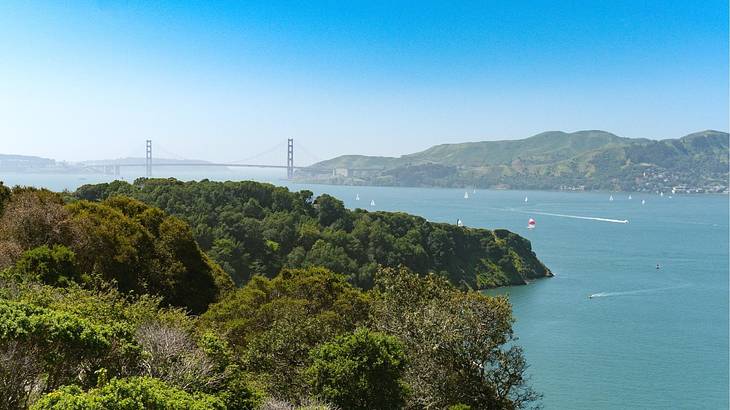 Greenery surrounded by a bay with boats on it and a suspension bridge in the distance Greenery surrounded by a bay with boats on it and a suspension bridge in the distance