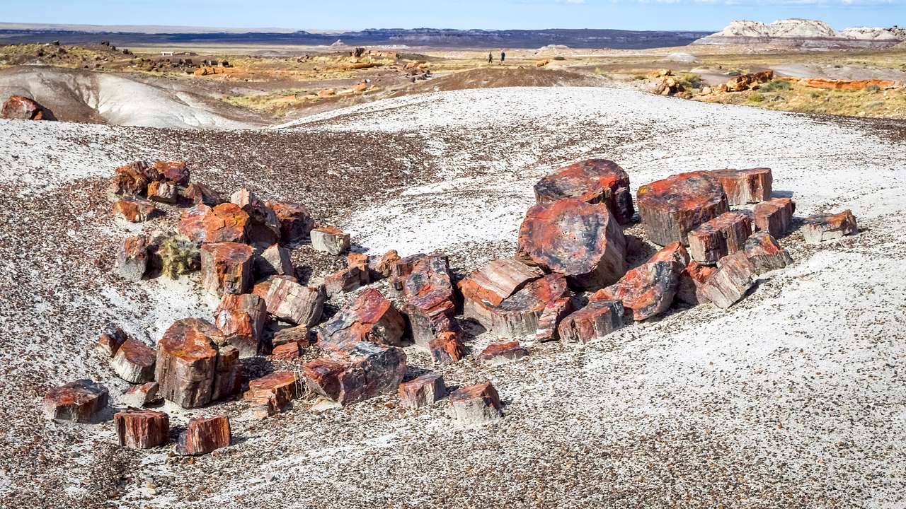 A dry landscape with chunks of petrified wood scattered on whitish ground in front