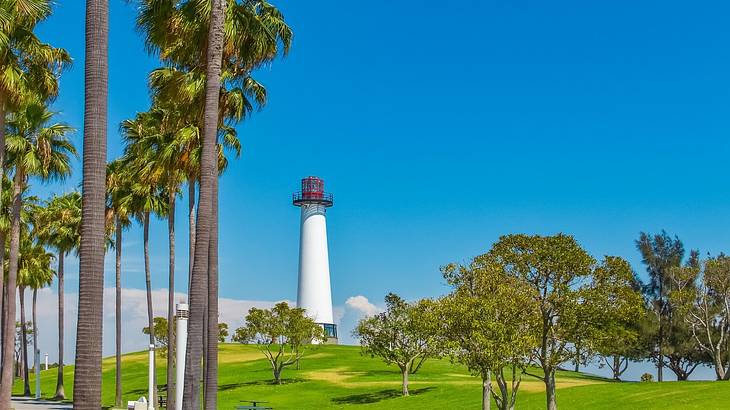 Green grass and palm trees with a white lighthouse in the distance under a blue sky