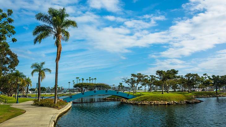 A blue lagoon with a bridge over it and greenery, palm trees, and a path around it A blue lagoon with a bridge over it and greenery, palm trees, and a path around it