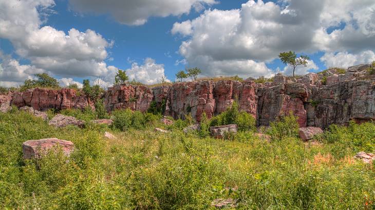 An area of shrubbery next to rugged brown cliffs under a partly cloudy sky An area of shrubbery next to rugged brown cliffs under a partly cloudy sky