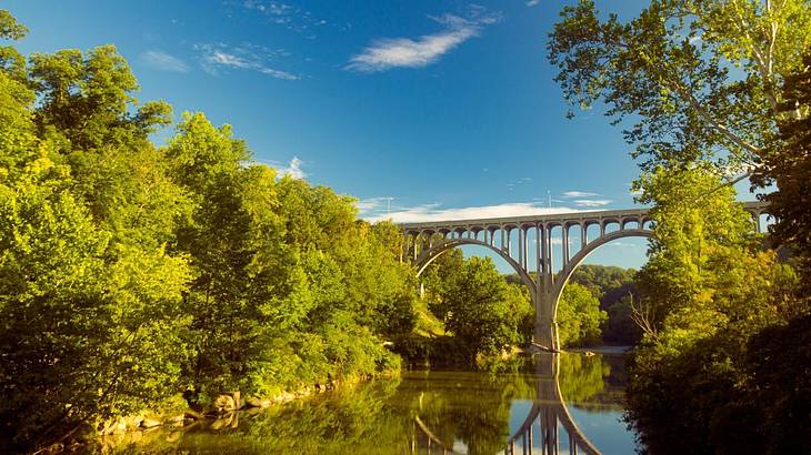 A bridge over a river with a reflection in the water and trees surrounding