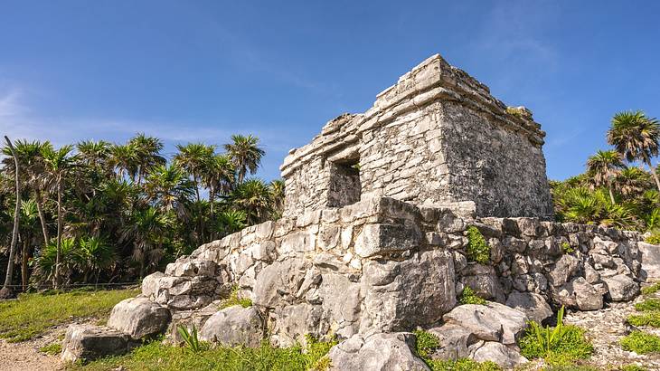 The ruins of a small structure on the grass next to palm trees