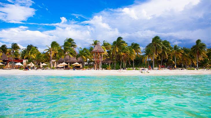 Turquoise ocean water next to a white sand beach and palm trees under a blue sky