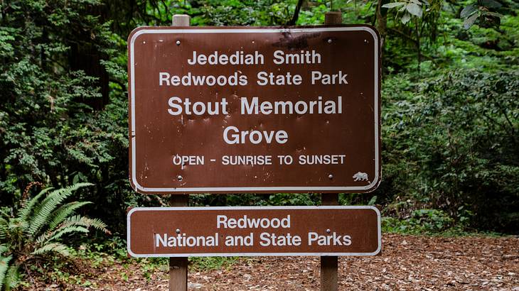 A sign in front of trees that says "Jedediah Smith Redwoods State Park"