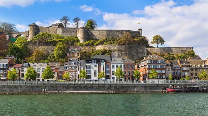 A stone citadel next to small buildings and trees by a river