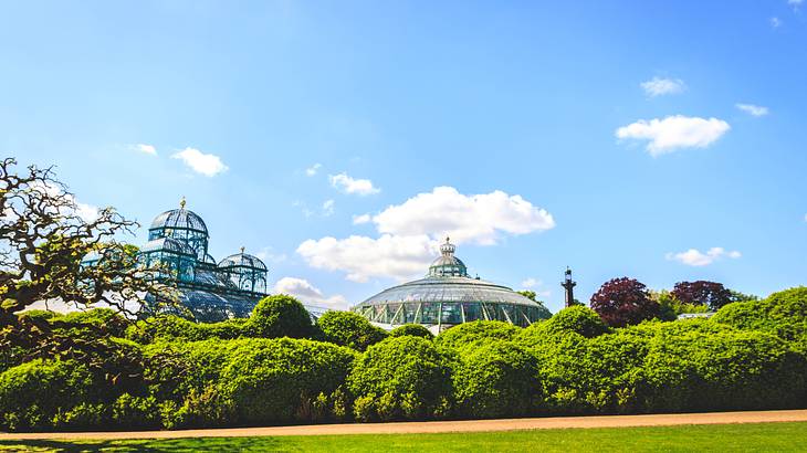 A large wide building with domes surrounded by trees and grass in front