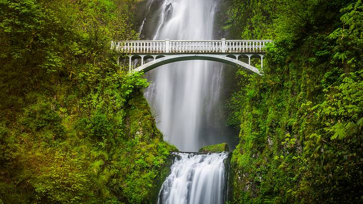 A waterfall flowing amongst lush greenery with a bridge between the trees