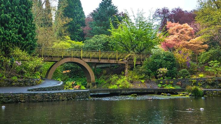 A bridge over a pond with green and orange trees around it