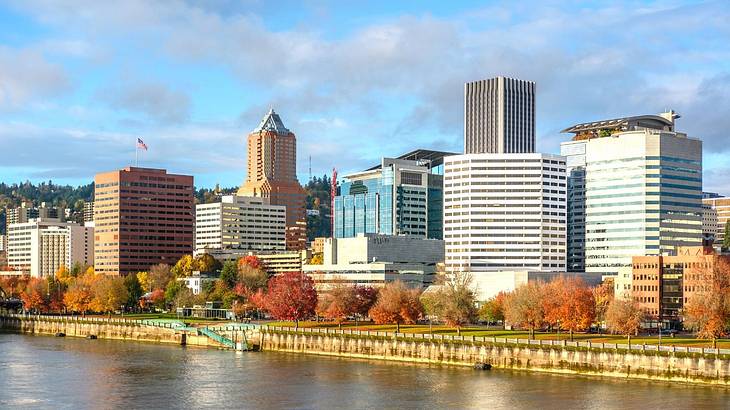 A skyline with orange trees and a waterway in front of it