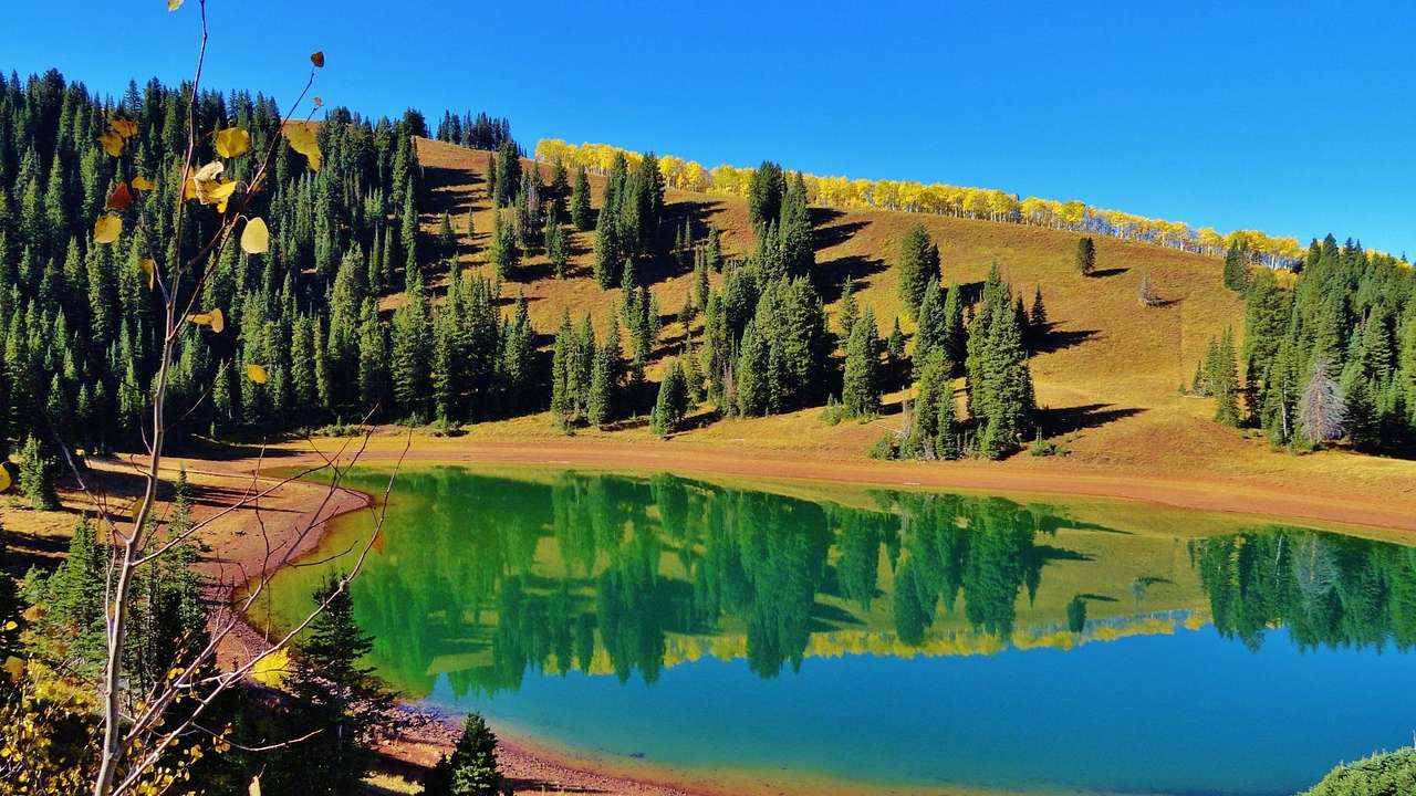 A lake surrounded by trees and a grass-covered hill under a clear blue sky