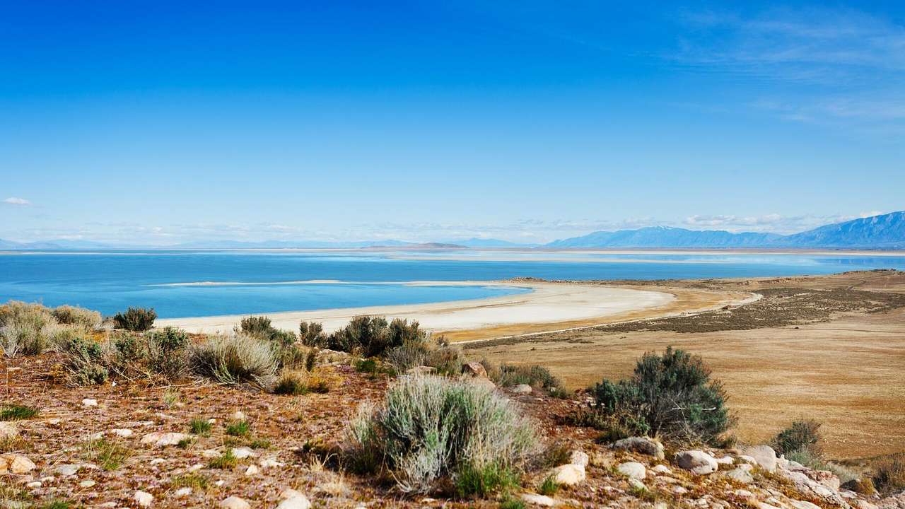 Shrubs on a hill next to sand and a turquoise lake under a clear blue sky