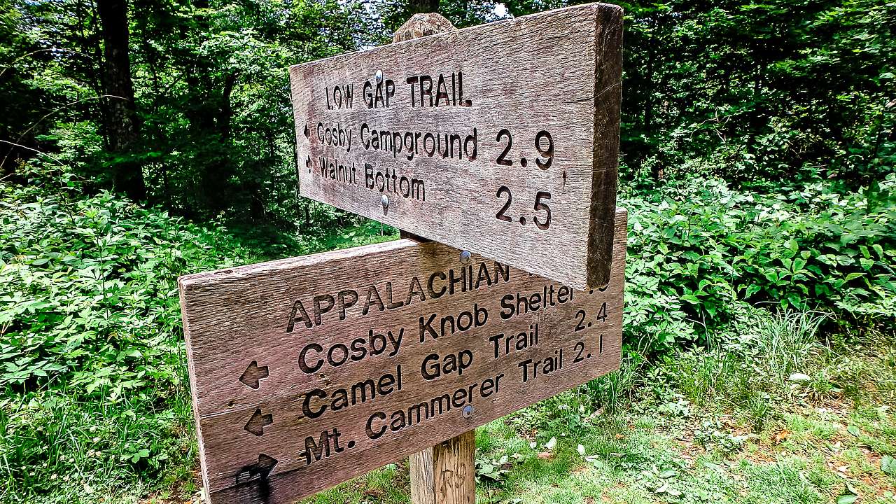 A trail sign made of wood with trail names carved on it surrounded by forest