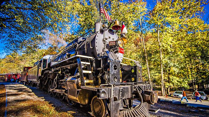 A steam-powered train with an American flag surrounded by trees
