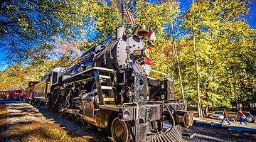 A steam-powered train with an American flag surrounded by trees