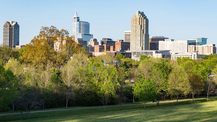 A grassy area next to green trees and a city skyline under a blue sky