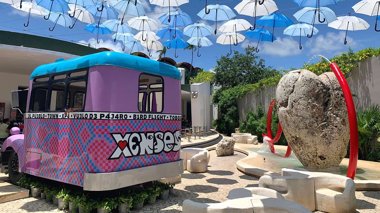 A small purple bus that says "Xenses," under umbrellas next to a water feature