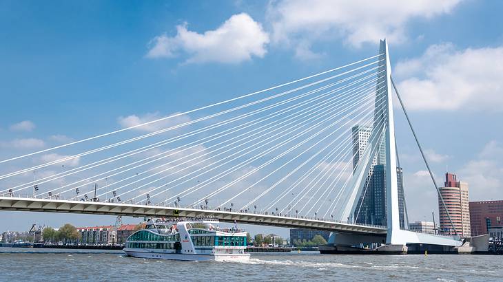 A cable bridge over a body of water next to buildings under a blue sky with clouds A cable bridge over a body of water next to buildings under a blue sky with clouds