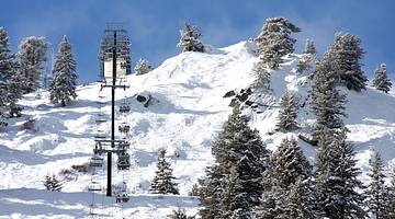 A snow-covered mountain with alpine trees and a ski lift under a blue sky
