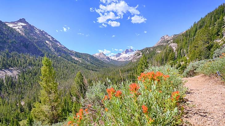 A path on a mountain next to greenery and flowers overlooking tall mountains