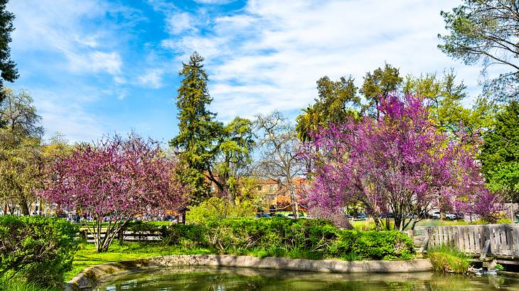 The best time to visit Sacramento is in spring, with its colorful trees and plants