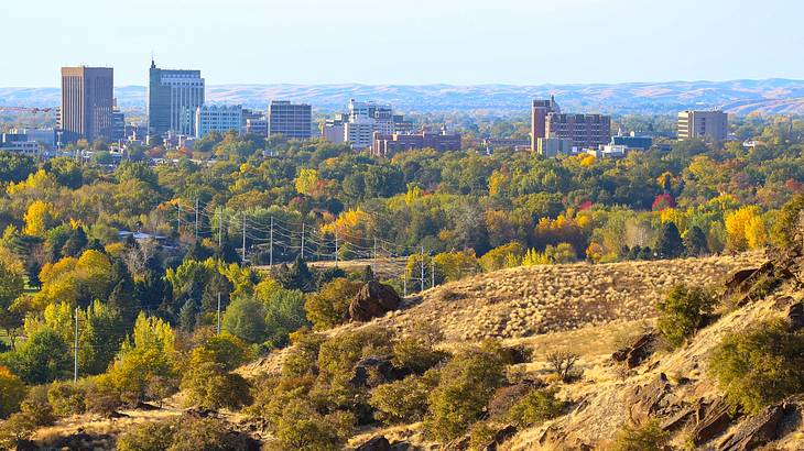 A mountain with many green trees overlooking a city skyline