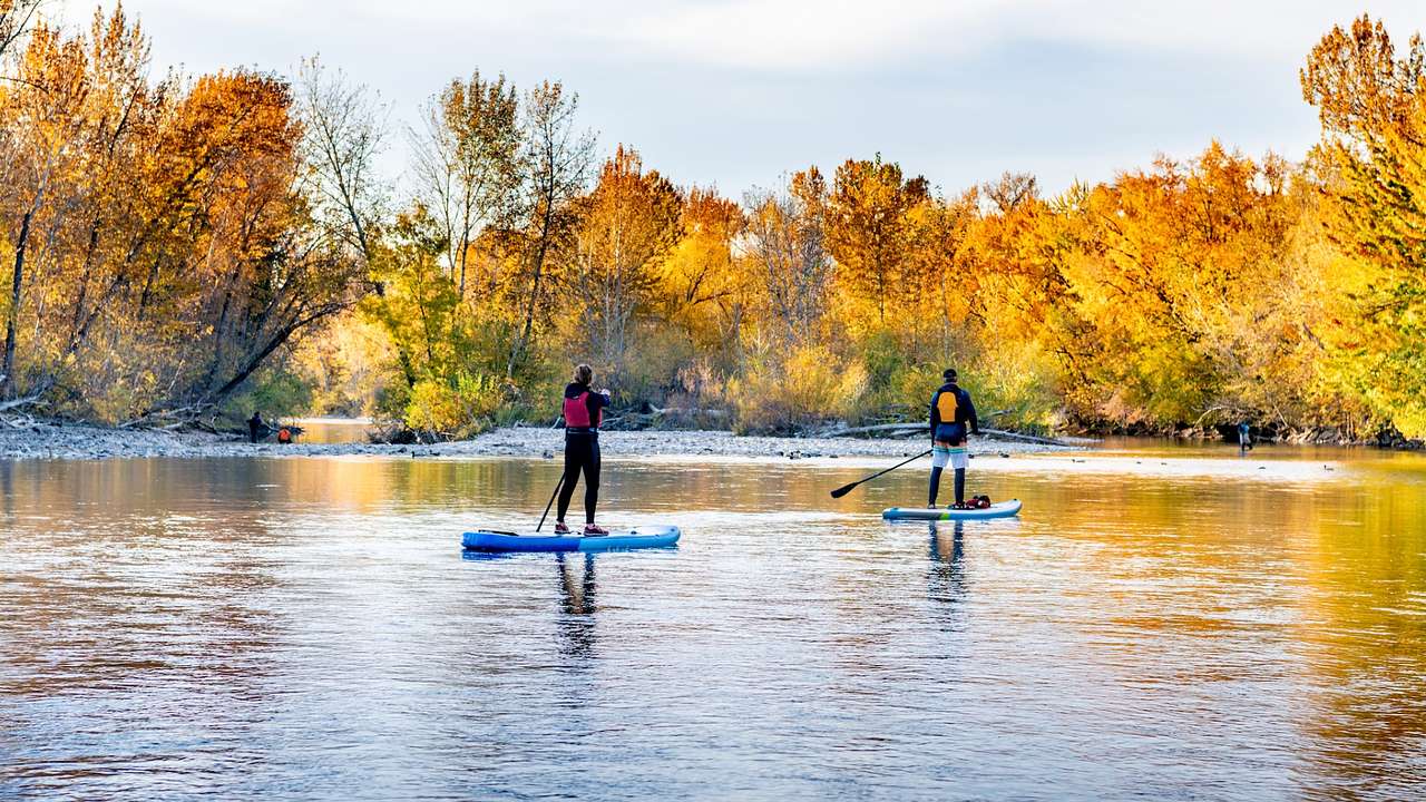 Two people paddleboarding on the water surrounded by orange fall trees