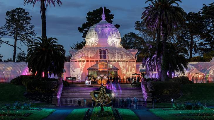 A conservatory with grass and palm trees surrounding it lit up at night