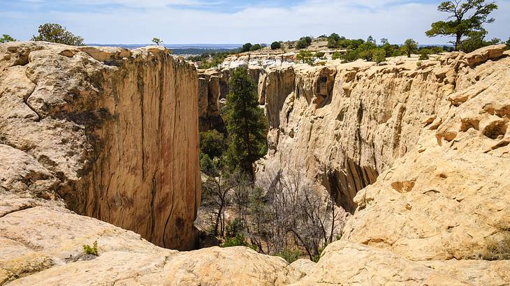 Looking down from a rugged cliff with some trees around, under a partly cloudy sky Looking down from a rugged cliff with some trees around, under a partly cloudy sky