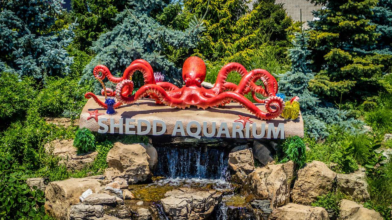 A red octopus statue and Shedd Aquarium sign with greenery surrounding