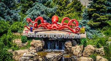 A red octopus statue and Shedd Aquarium sign with greenery surrounding