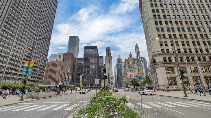 An urban street with greenery in the middle and skyscrapers in the distance