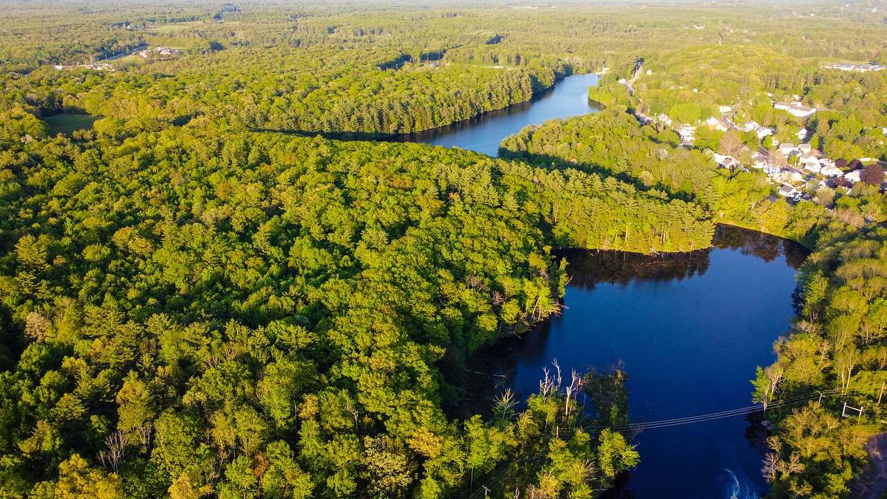 An aerial shot of a river between two dense forests