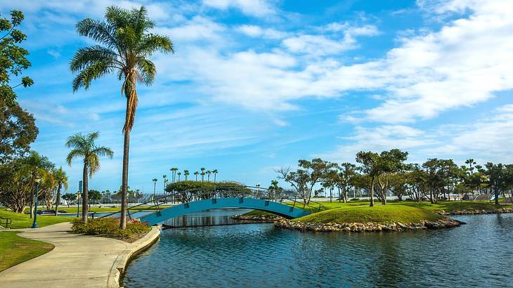 A lagoon with a bridge over it and a path and palm trees to the side
