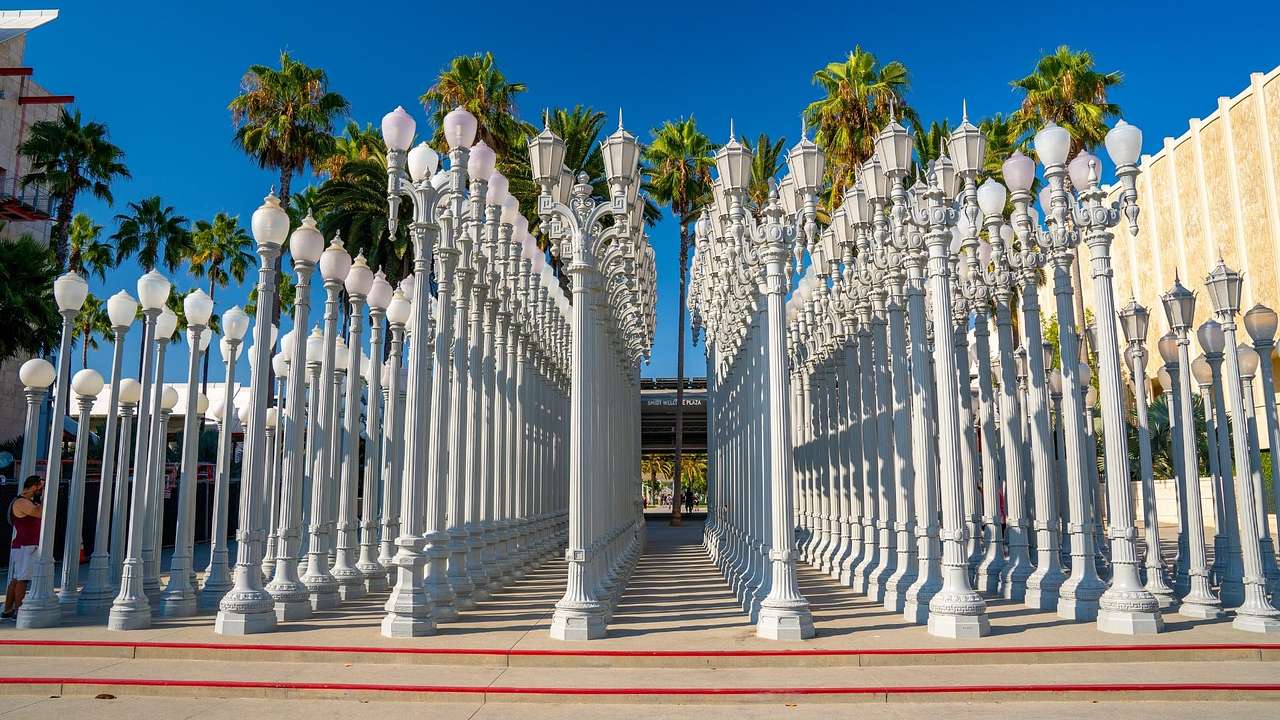 An art installation featuring white lampposts with palm trees behind them