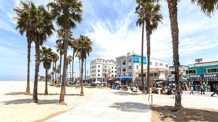 A palm tree-lined path going with a boardwalk to one side and a beach on the other