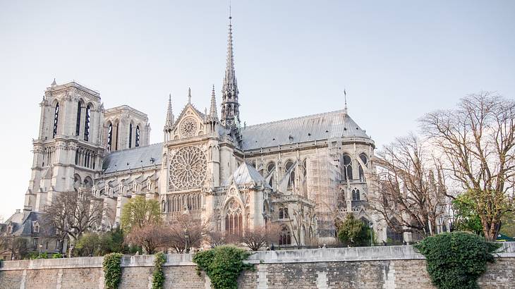 A cathedral's gothic-style façade seen from the Seine River with bare trees in front