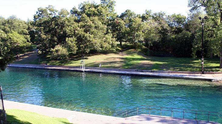 An outdoor swimming pool surrounded by grass and trees