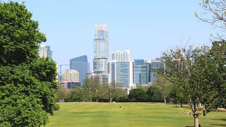 Green grass and trees with a city skyline on the horizon under a blue sky Green grass and trees with a city skyline on the horizon under a blue sky