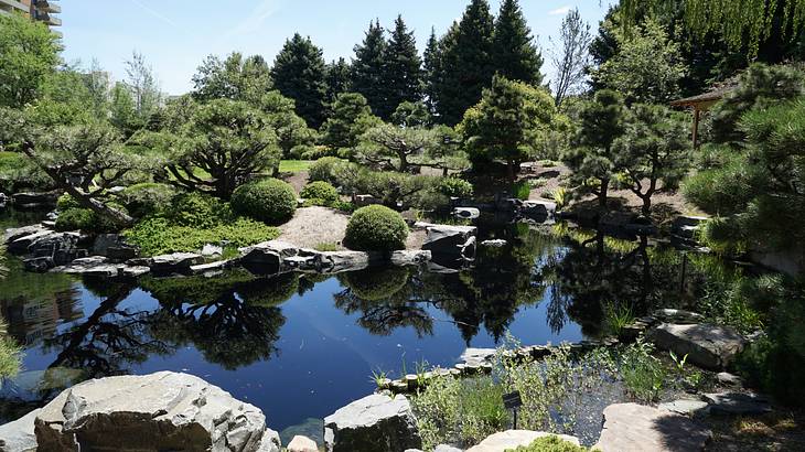 A pond surrounded by rocks and green trees A pond surrounded by rocks and green trees