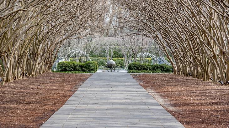 An archway made of trees with a path through it and greenery at the end