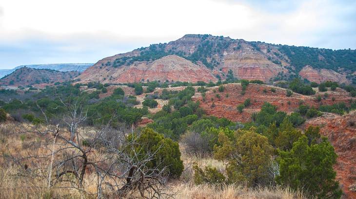 Orange rock mountains with greenery and yellow grass in around them