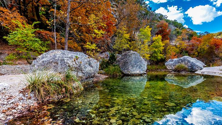 Orange trees, a pond and rocks under a blue sky with clouds