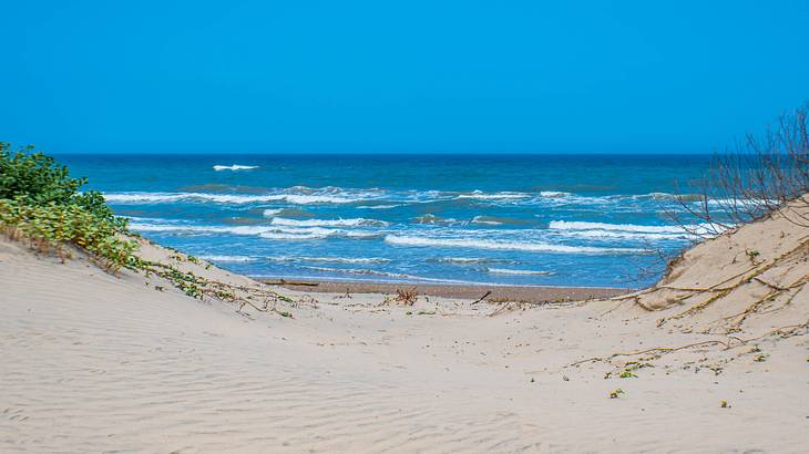 A sandy beach and the ocean under a blue sky