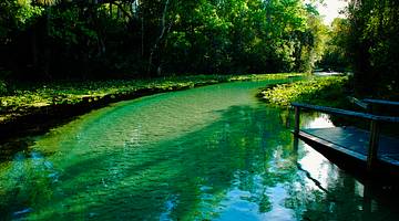 Emerald river with crystal clear water, surrounded by rich green vegetation